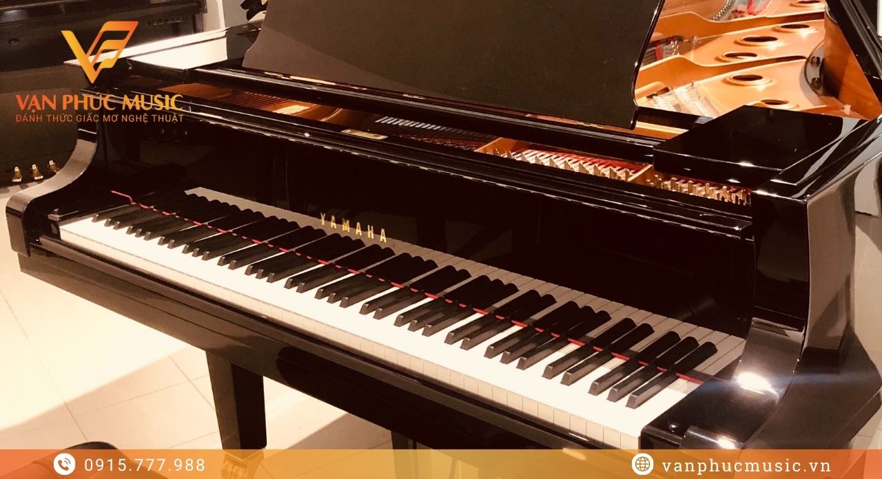 đại dương cầm yamaha c7