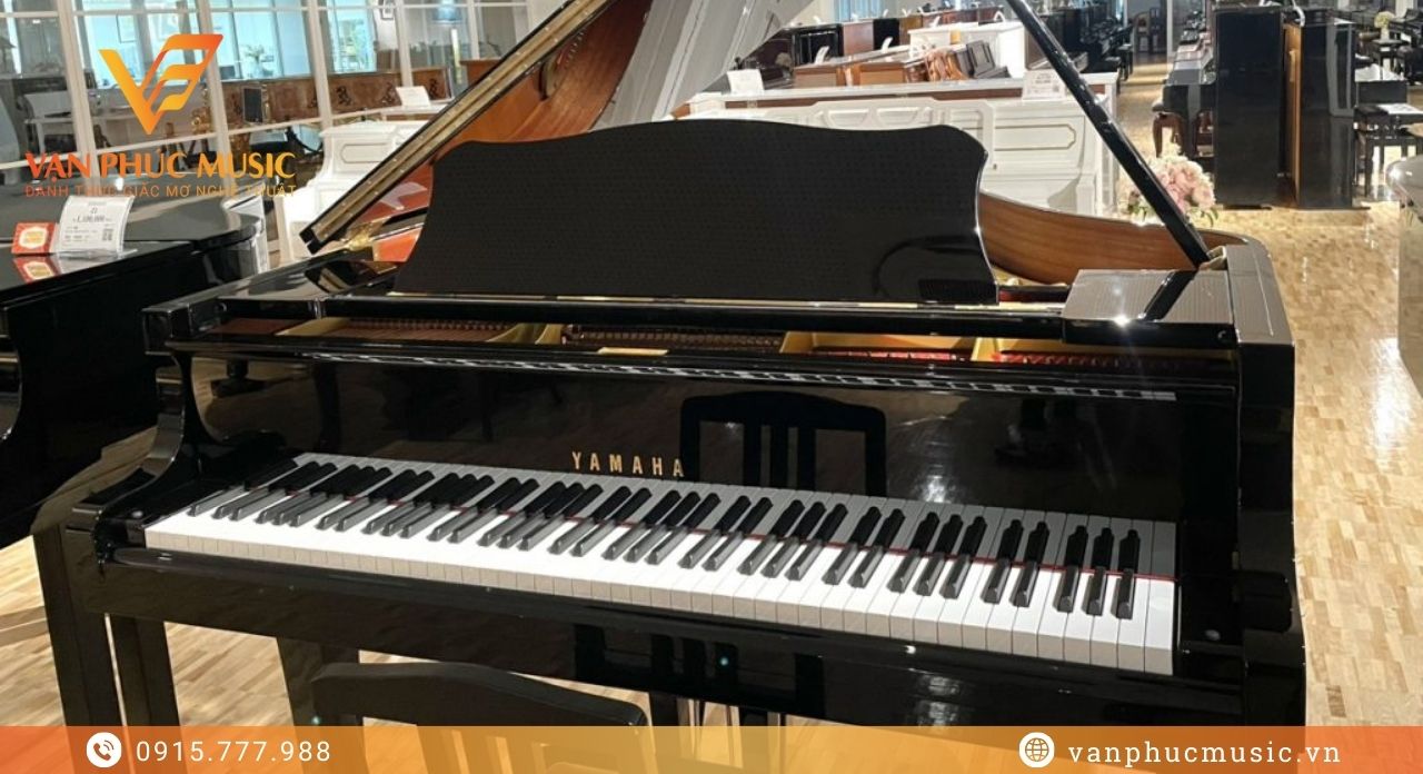 baby grand yamaha g1b