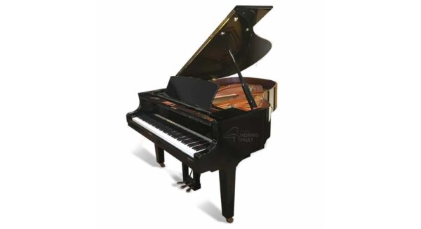 YAMAHA G1E