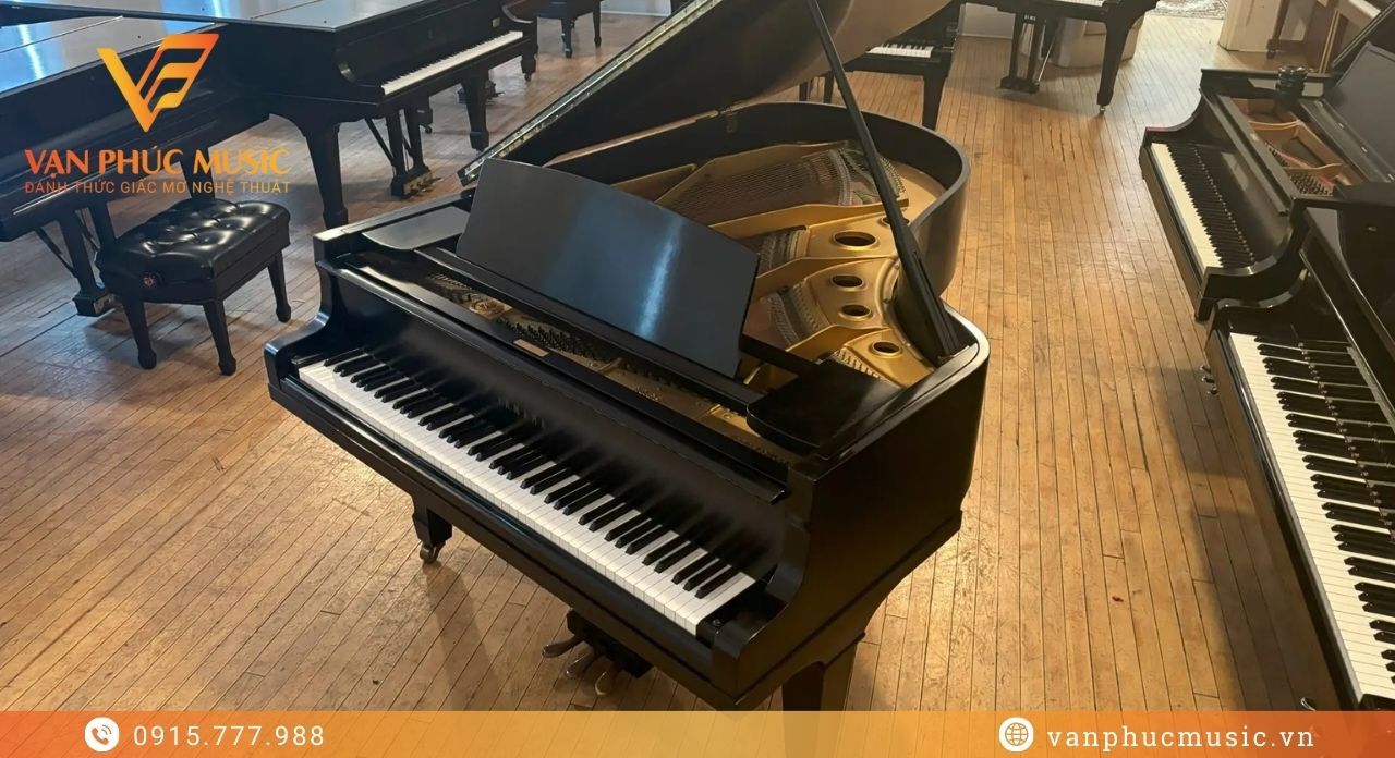 yamaha g5 đã qua sử dụng yamaha g5 đã qua sử dụng