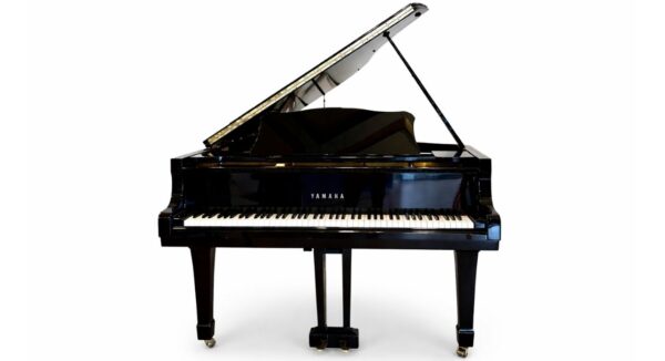 yamaha-g5a
