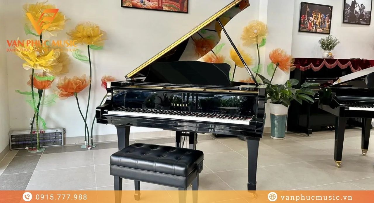 YAMAHA G5A đã qua sử dụng