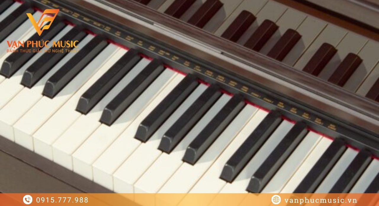 bàn phím Casio AP 750BN