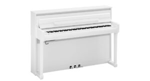 PW - Polished White