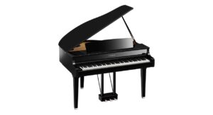 PE - Polished Ebony