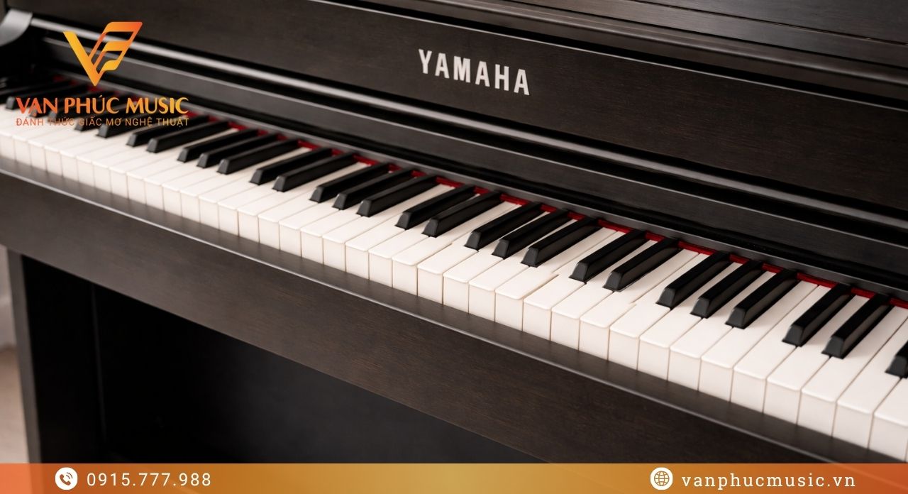 piano điện Yamaha SCLP 5350BN Clavinova