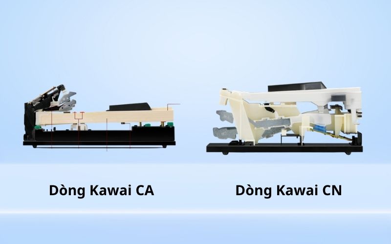 Sự khác biệt lớn về cấu tạo bàn phím giữa CN và CA