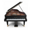 Đàn Grand Piano Bösendorfer 214VC