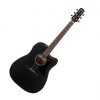 Đàn Guitar Acoustic Ibanez AAD190CE