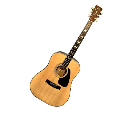Đàn Guitar Acoustic Morris TF801