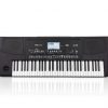 Đàn Organ Korg PA300