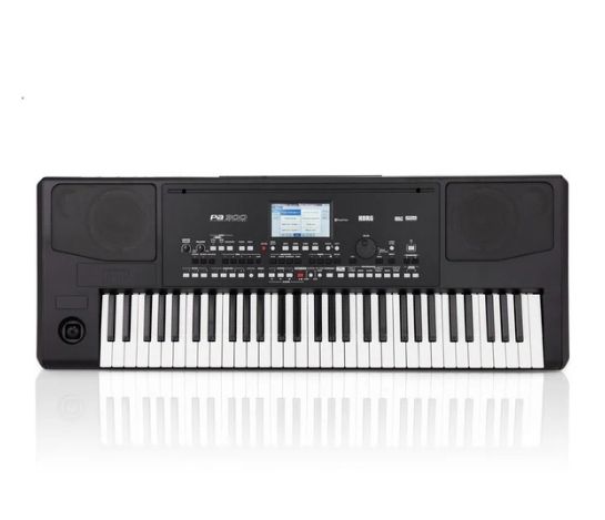 Đàn Organ Korg PA300