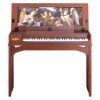 Đàn organ Roland C-30