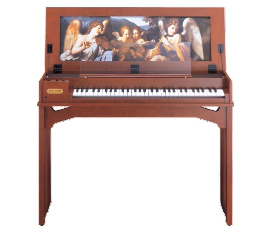 Đàn organ Roland C-30