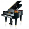 Đàn Piano Grand C. Bechstein Concert L167