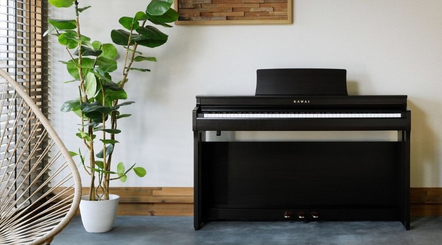 Đặt đàn tránh ánh nắng và không khí ẩm