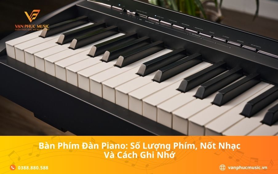 Bàn Phím Đàn Piano: Số Lượng Phím, Nốt Nhạc Và Cách Ghi Nhớ