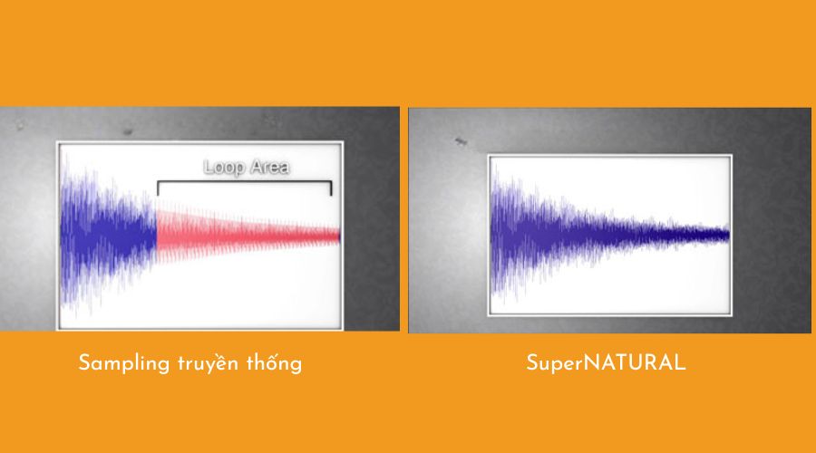 SuperNATURAL khác gì so với Sampling truyền thống
