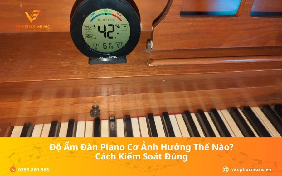 Độ Ẩm Đàn Piano Cơ Ảnh Hưởng Thế Nào? Cách Kiểm Soát Đúng