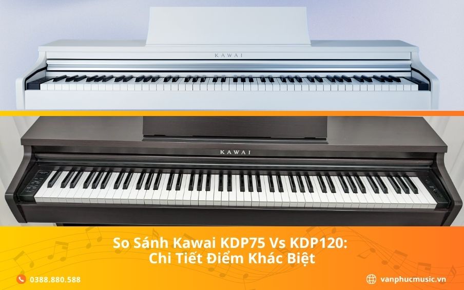 So Sánh Kawai KDP75 Vs KDP120: Chi Tiết Điểm Khác Biệt