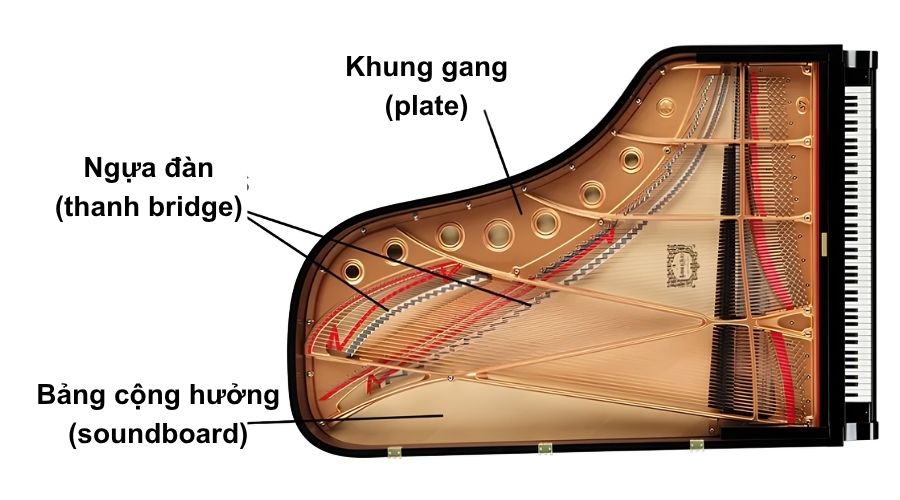 Soundboard khuếch đại rung động từ dây đàn piano cơ