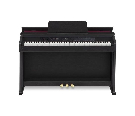 CASIO AP-450