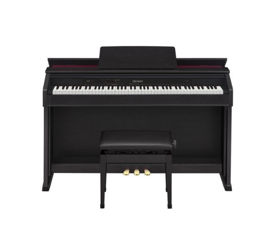 CASIO AP-460