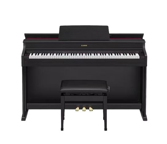 CASIO AP-620