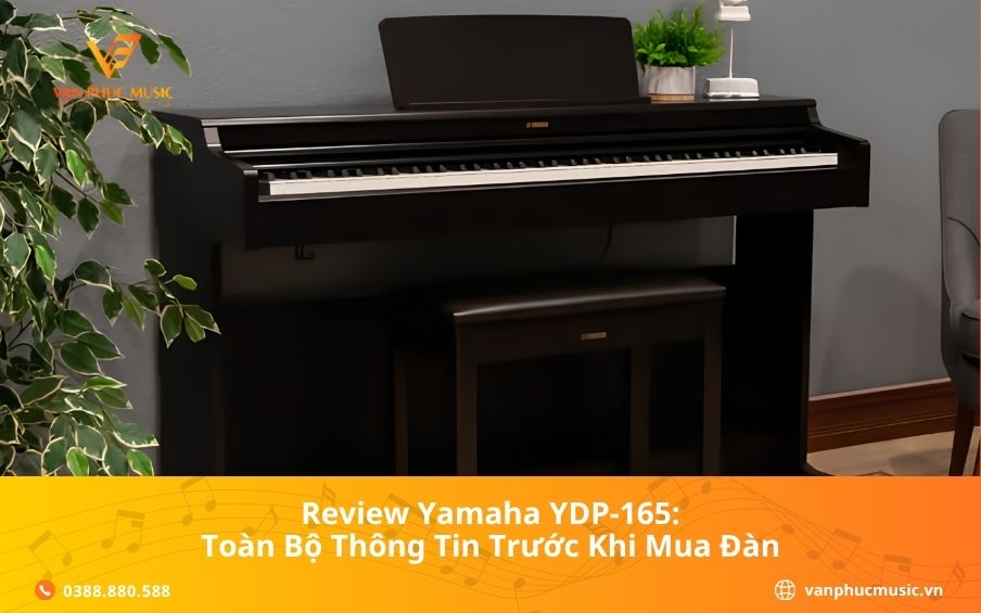 Review Yamaha YDP-165: Toàn Bộ Thông Tin Trước Khi Mua Đàn