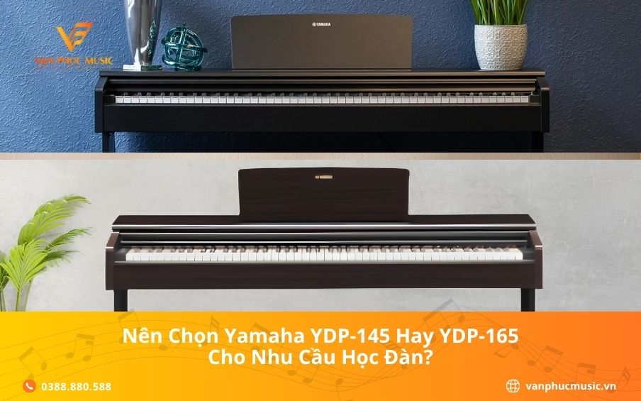 Nên Chọn Yamaha YDP-145 Hay YDP-165 Cho Nhu Cầu Học Đàn?