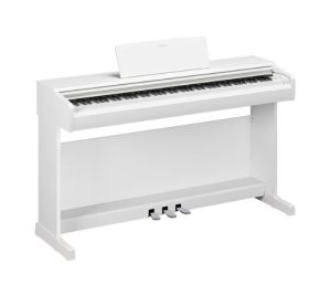 WH - White