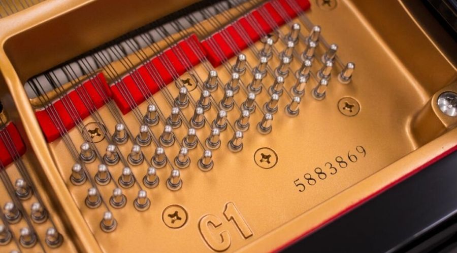 Số serial thường được khắc gần chốt lên dây