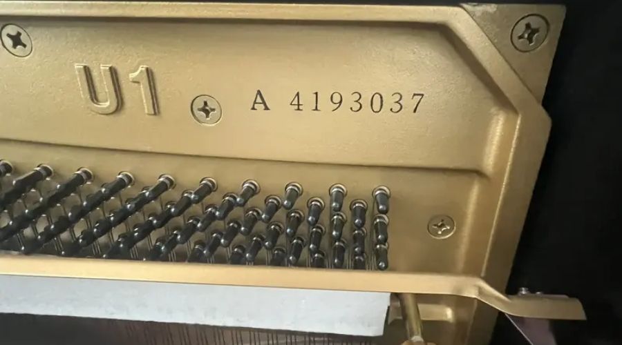 Số serial thường nằm bên phải hoặc chính giữa