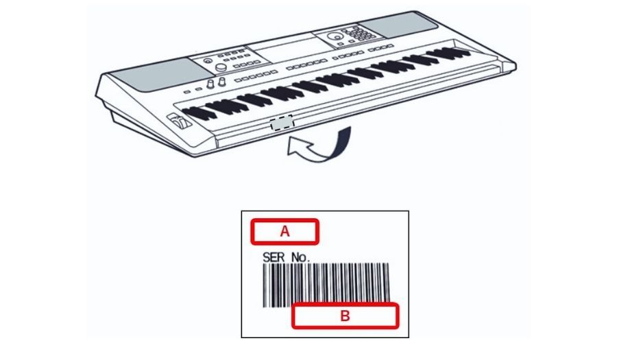 Số serial thường nằm ở mặt dưới hoặc phía sau lưng đàn