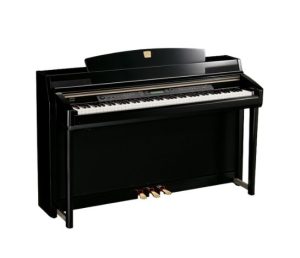 PE - Polished Ebony
