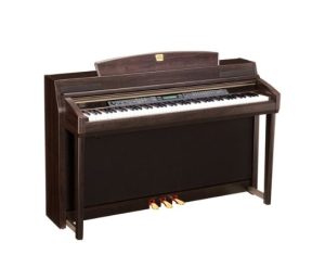 R - Rosewood