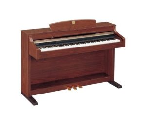 M - Mahogany